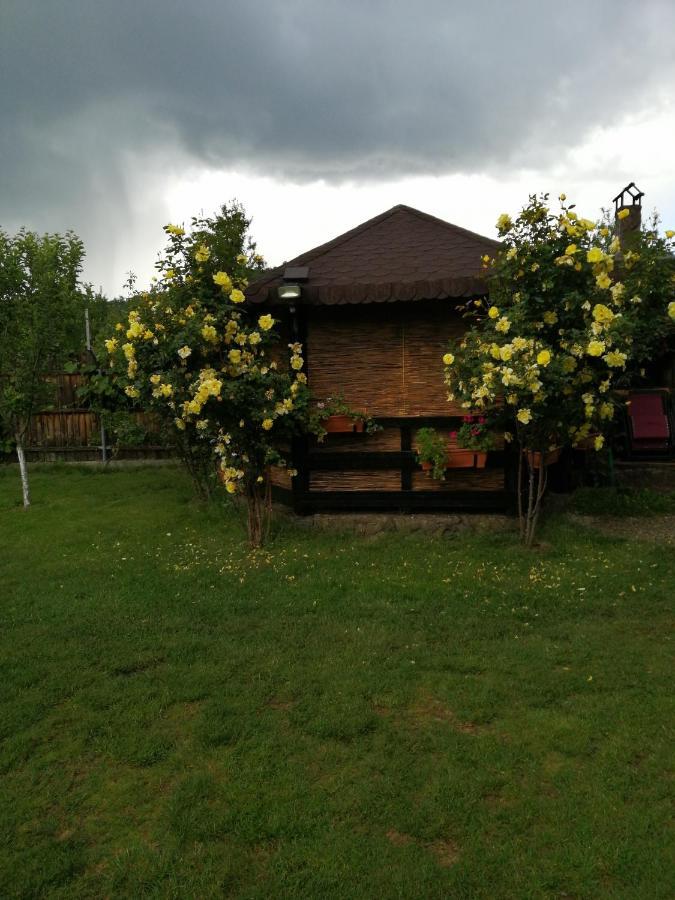 Conacul Caterinei Casuta Din Povesti Villa Polovragi Kültér fotó