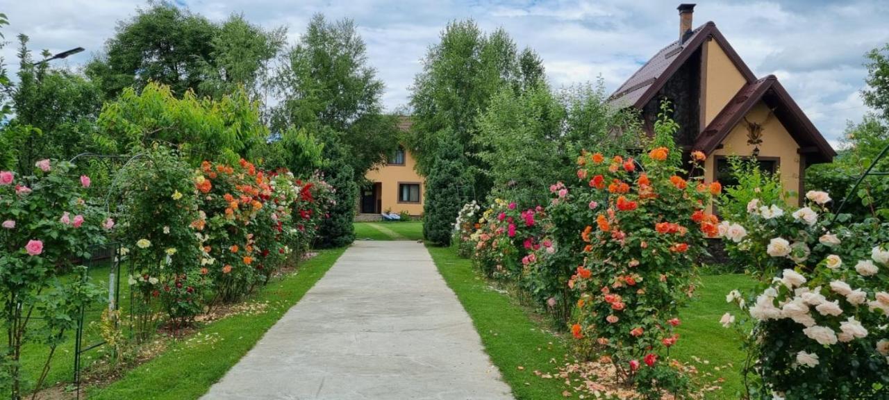 Conacul Caterinei Casuta Din Povesti Villa Polovragi Kültér fotó